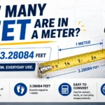 How Many Feet Are in a Meter