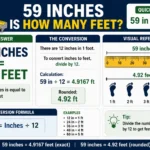 59 in is how many feet