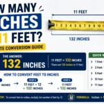 Generate image for wordpress feature image using this keyword "How Many Inches in 11 Feet