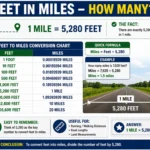 feet in miles how many