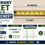 How Many Feet Are in 60 Inches