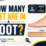 How Many Feet Are in a Foot