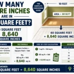 How Many Square Inches Are in 60 Square Feet