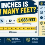 1 Inches Is How Many Feet