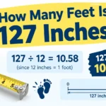 How Many Feet Is 127 Inches