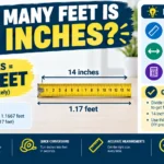 How Many Feet Is 14 Inches