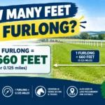How Many Feet Is a Furlong